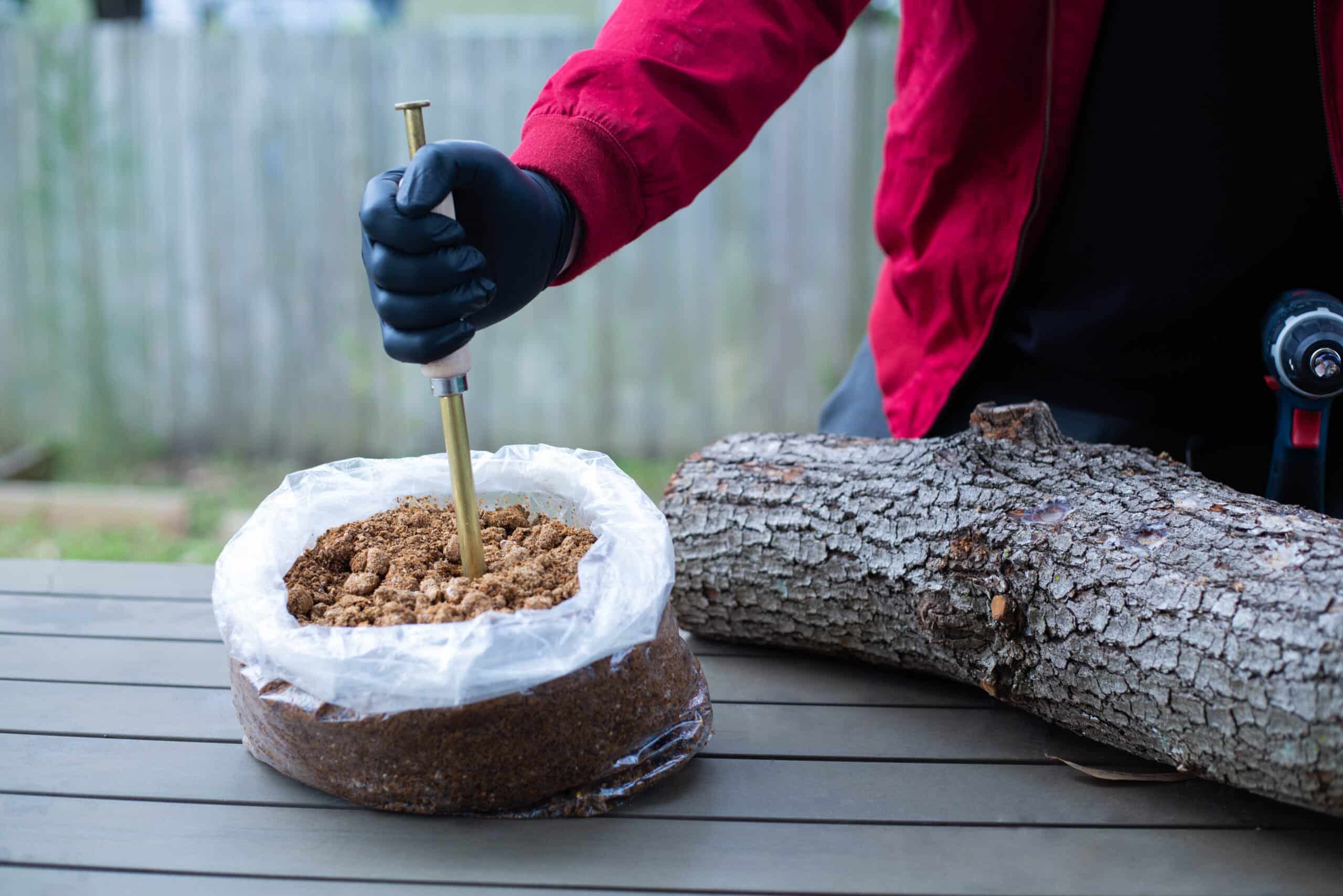 Sawdust Log Inoculation Kit