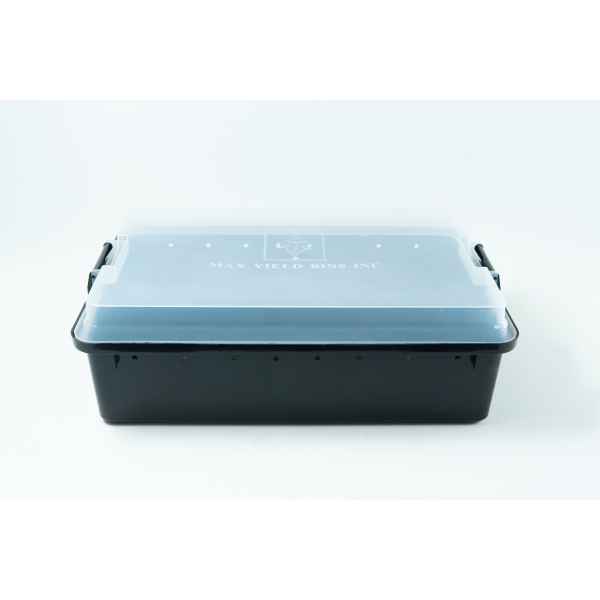 Black Container with Colonising Lid