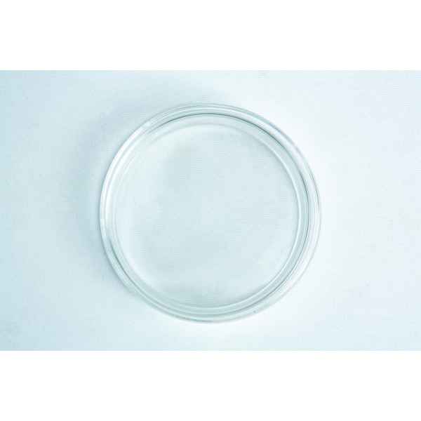 Glass Petri Dish